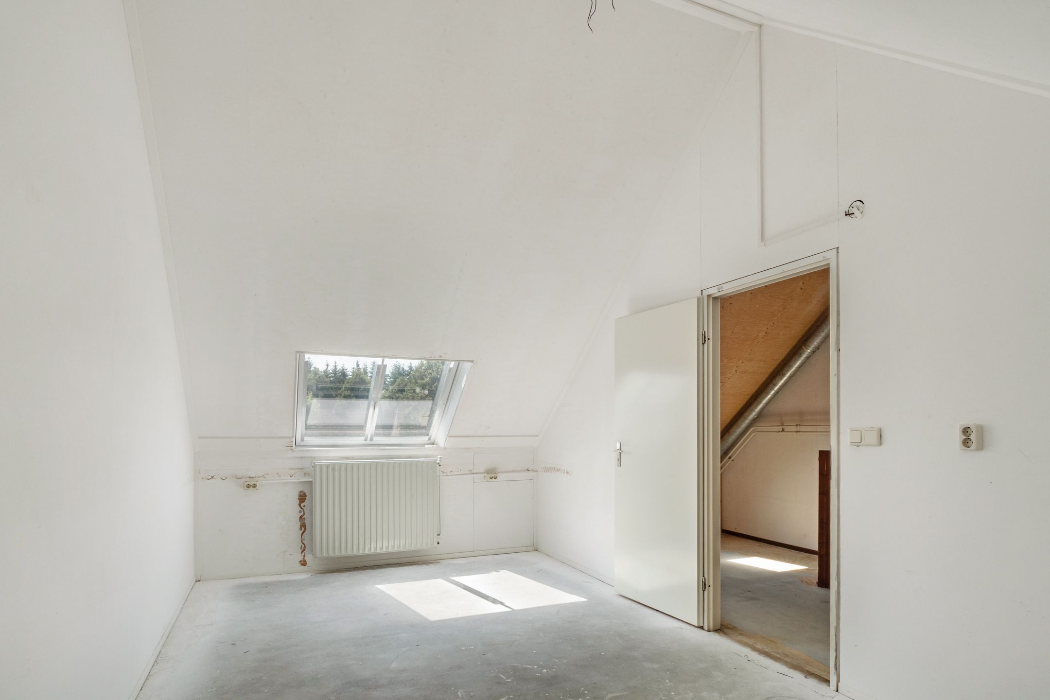 Foto 18 van Zwarte Kraai 51