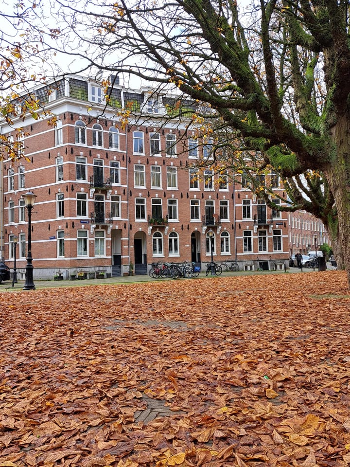 Photo 3 of Kastanjeplein 174