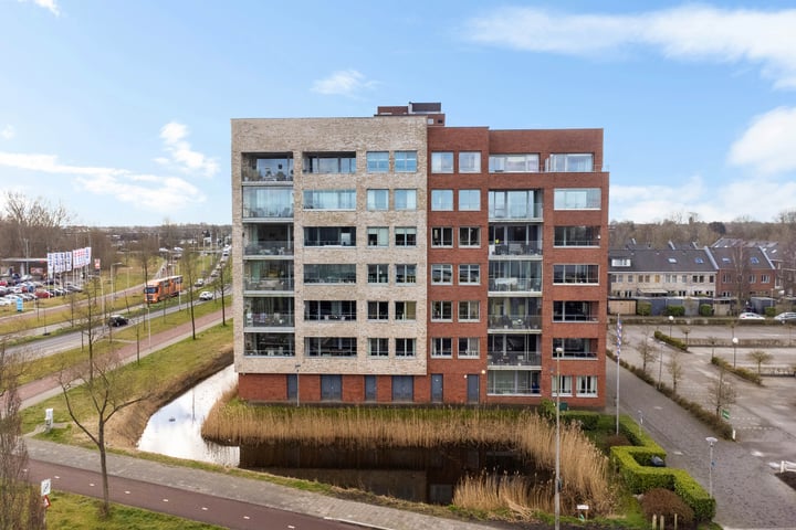 View photo of De Malus 9