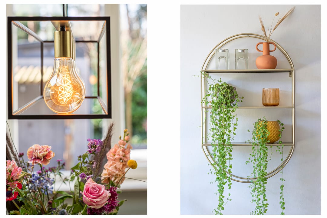 Photo 23 of Dennenoord 12