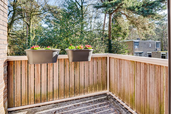 Foto 43 van Dennenoord 12