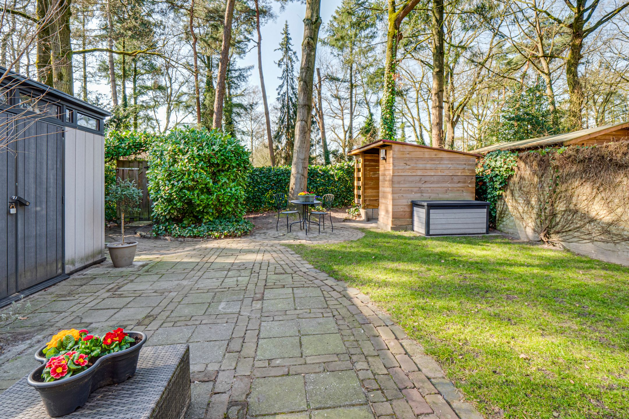 Photo 51 of Dennenoord 12