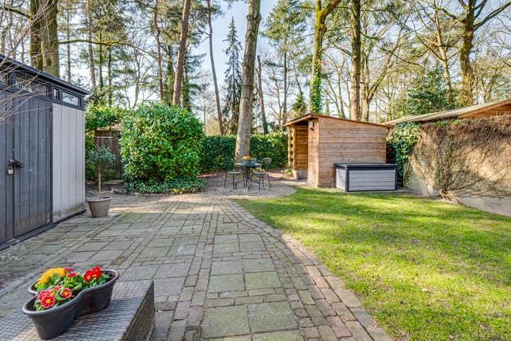 Foto 51 van Dennenoord 12