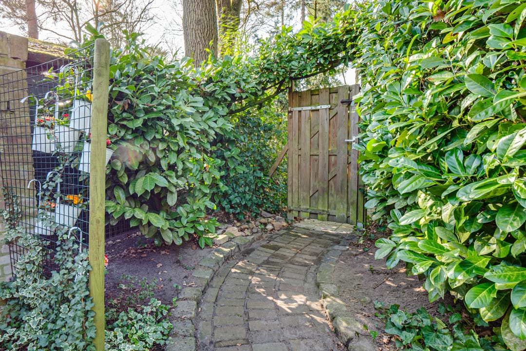 Photo 53 of Dennenoord 12