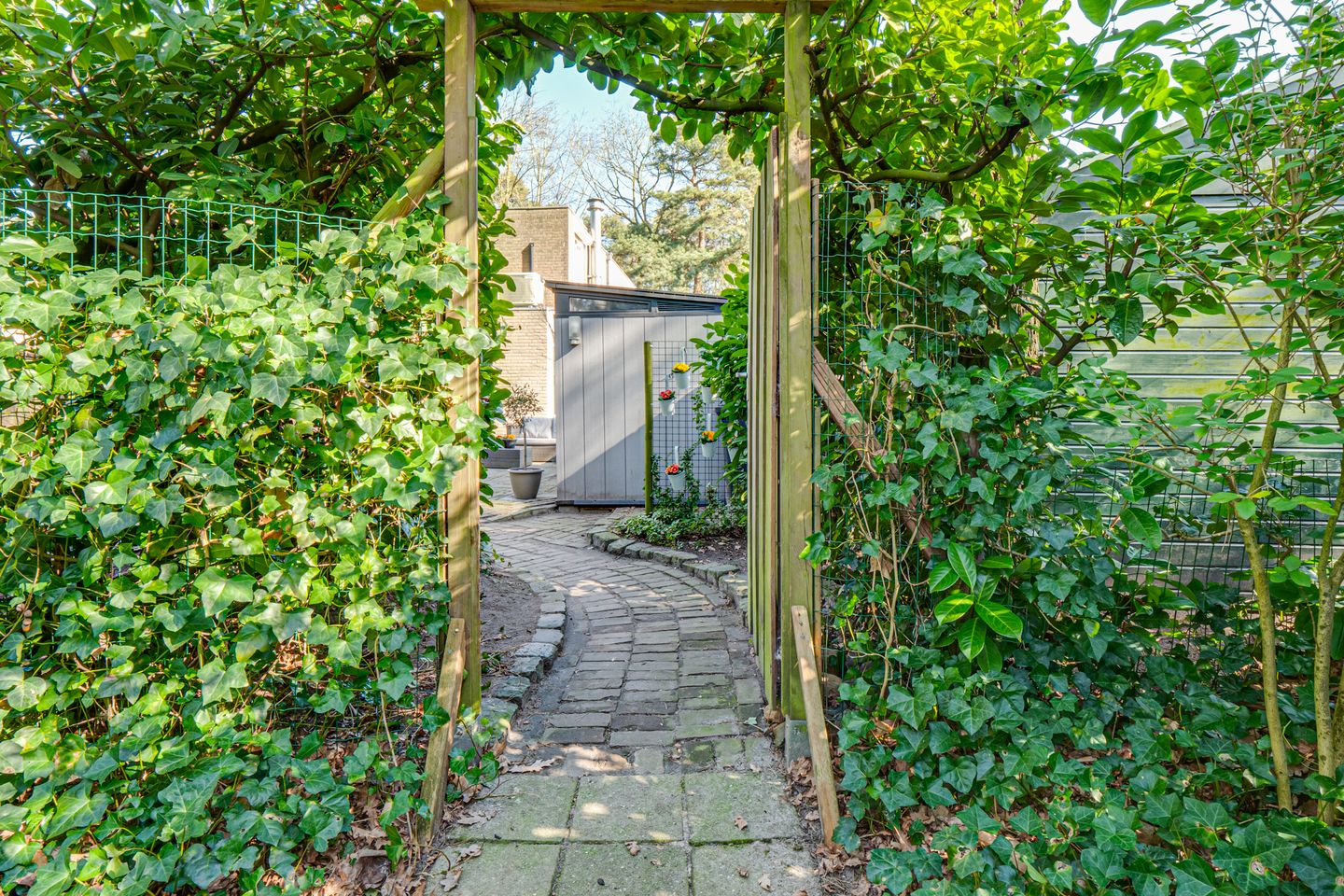 Photo 55 of Dennenoord 12