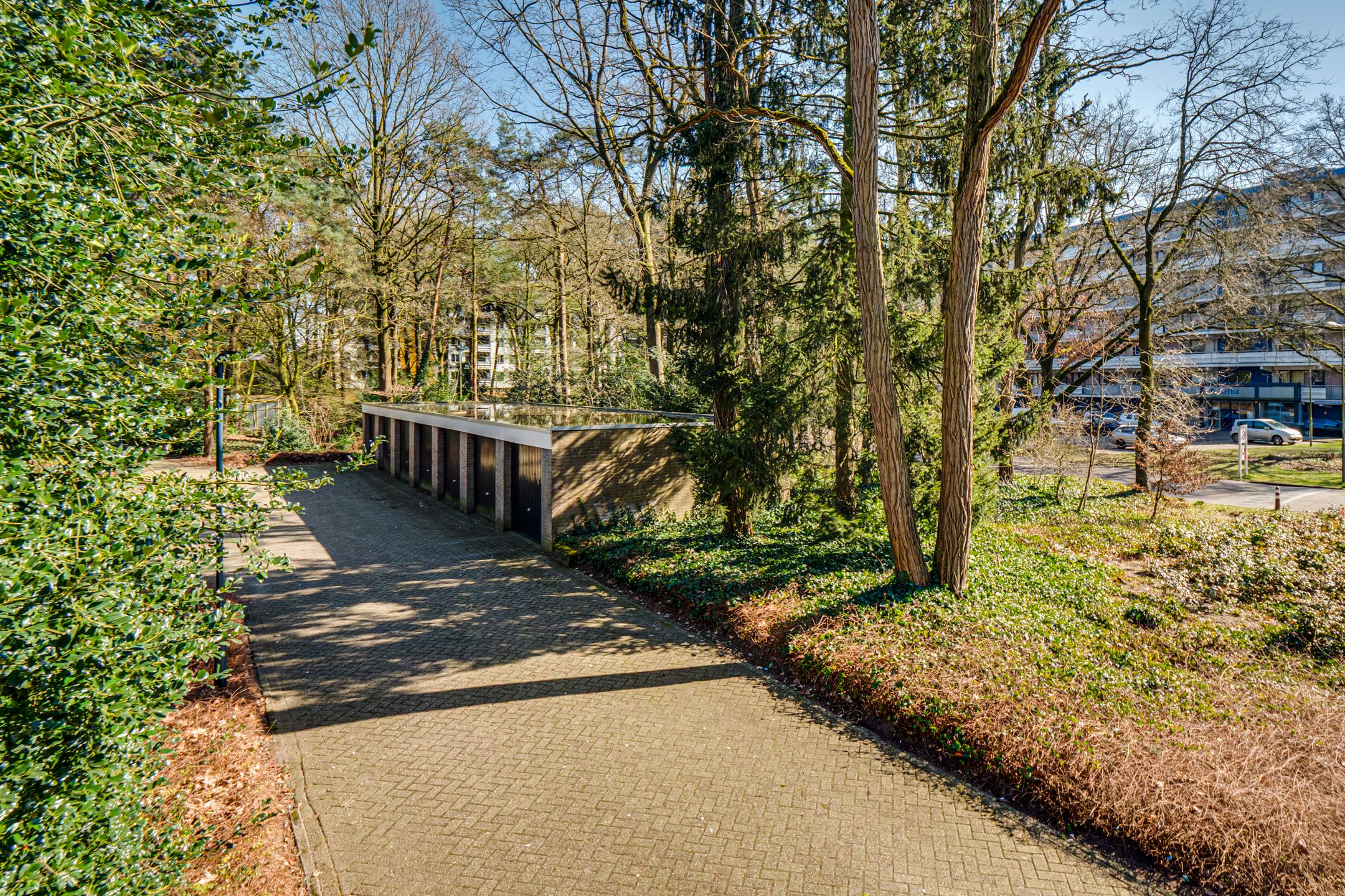 Photo 60 of Dennenoord 12