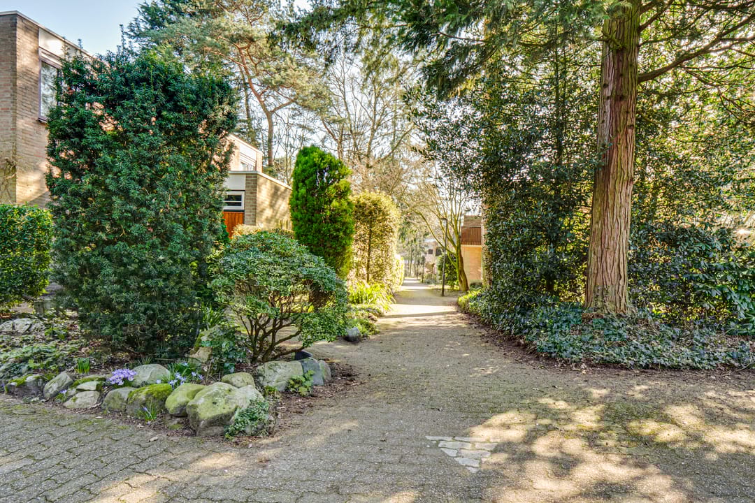 Photo 62 of Dennenoord 12