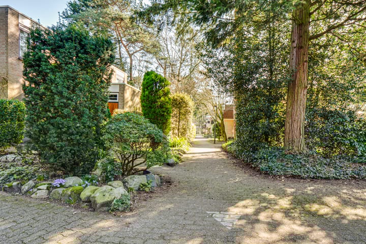 Foto 62 van Dennenoord 12