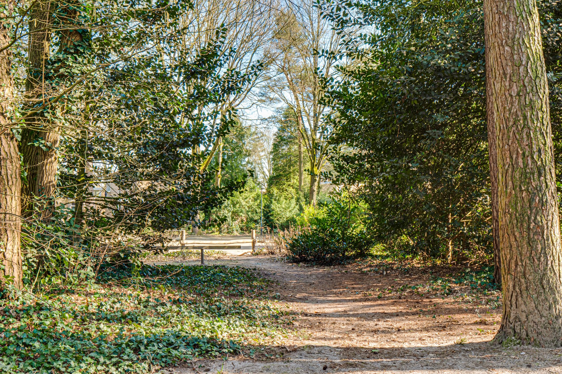 Photo 63 of Dennenoord 12