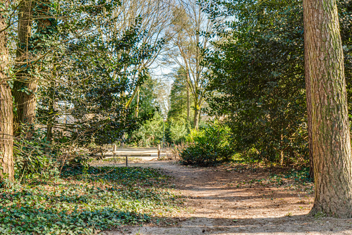 Foto 63 van Dennenoord 12