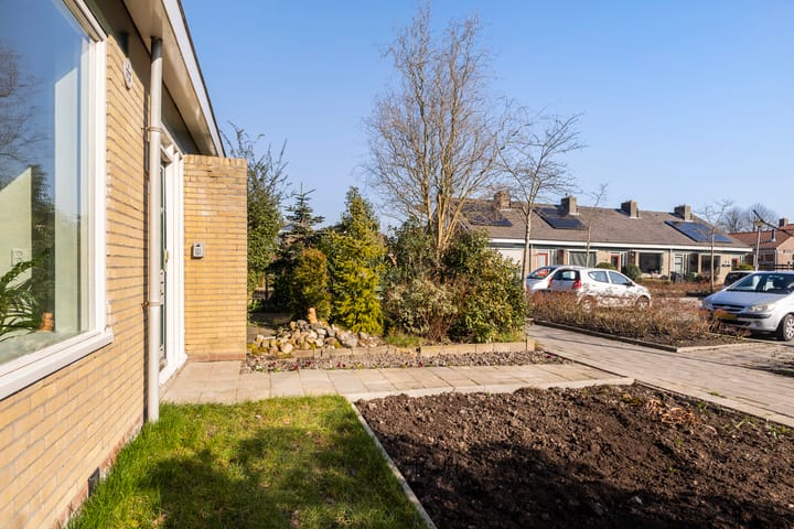 Foto 5 van De Tilbarten 1