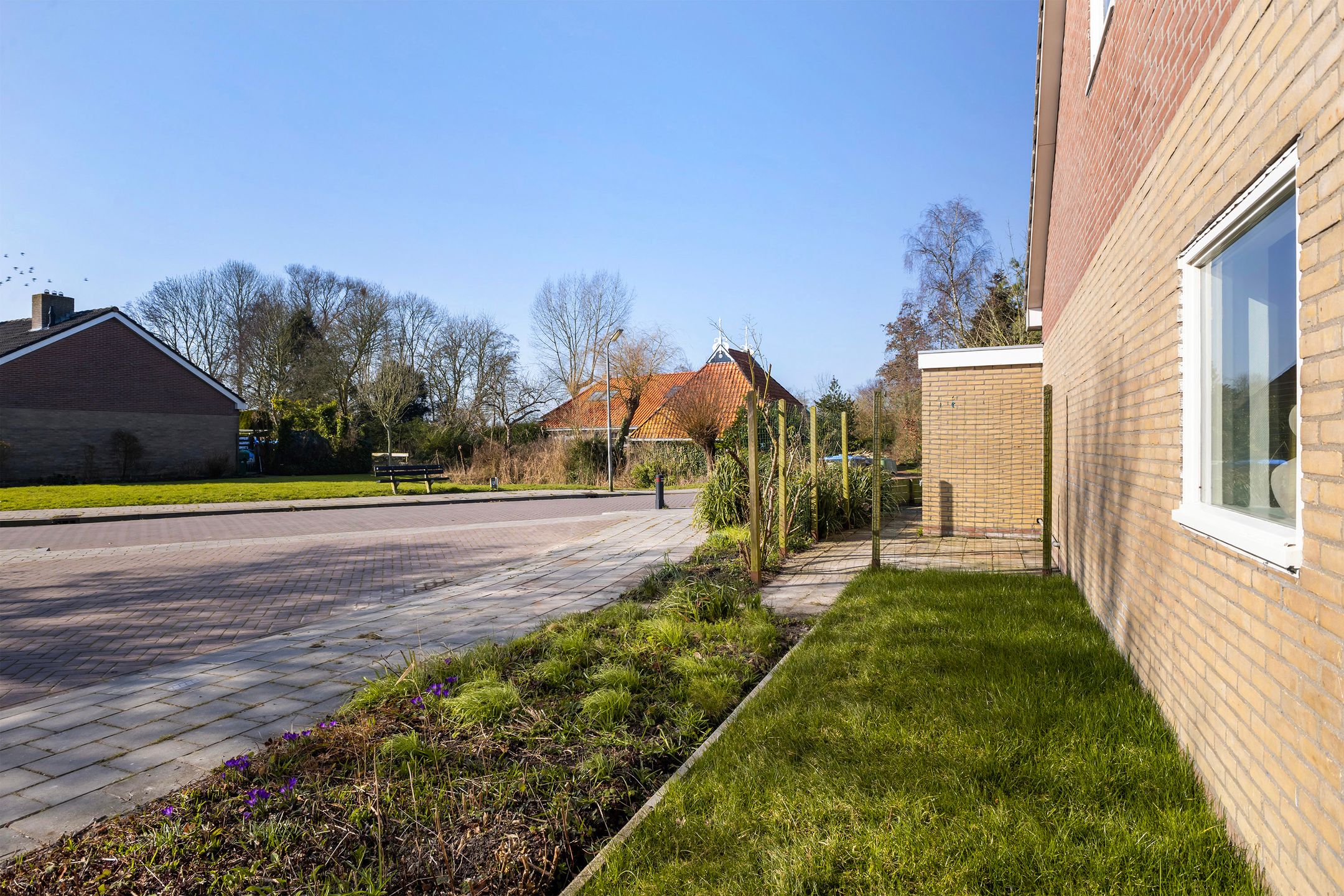 Foto 6 van De Tilbarten 1