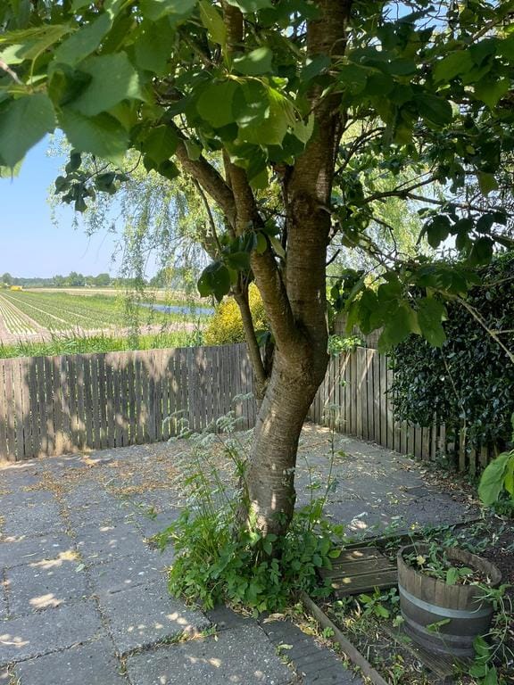 Photo 9 of Stationsweg 182-A