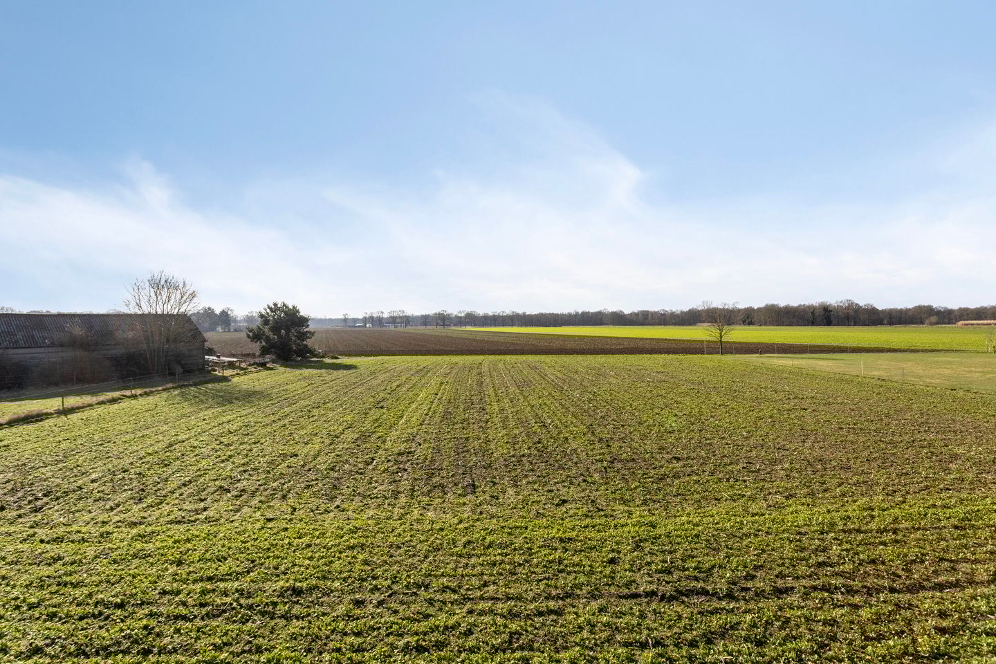 Foto 35 van Kapelstraat 12-A