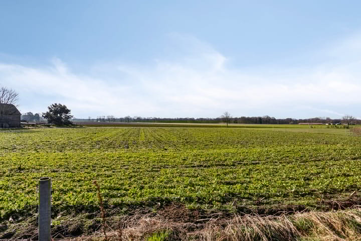 Foto 37 van Kapelstraat 12-A