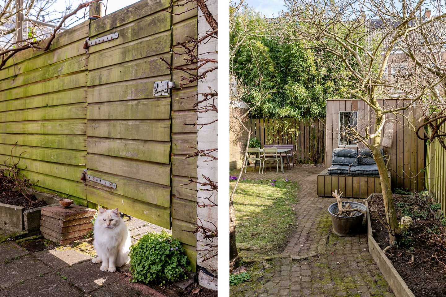 Foto 20 van Coornhertstraat 13