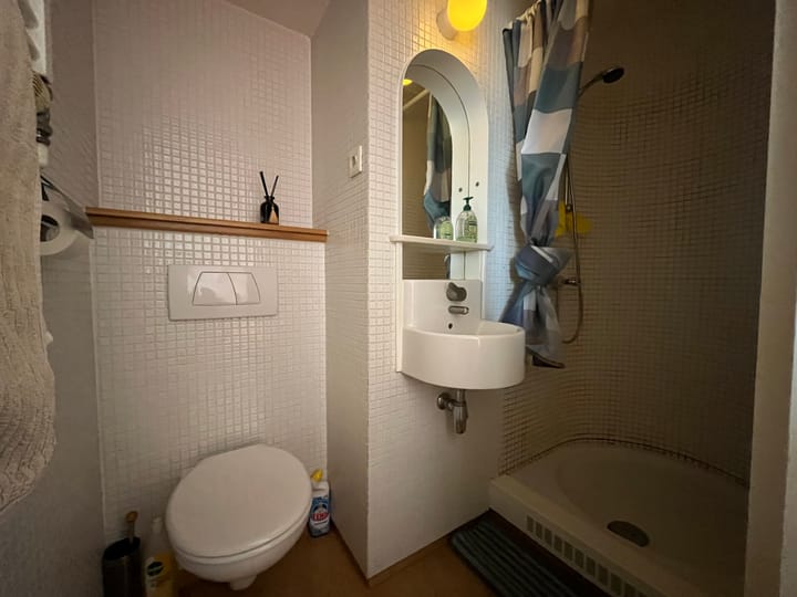 Foto 7 van Badhuisstraat 70