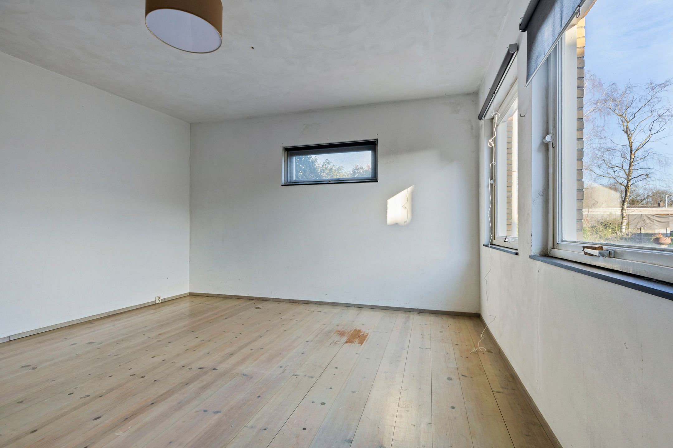 Foto 12 van Dahliastraat 6