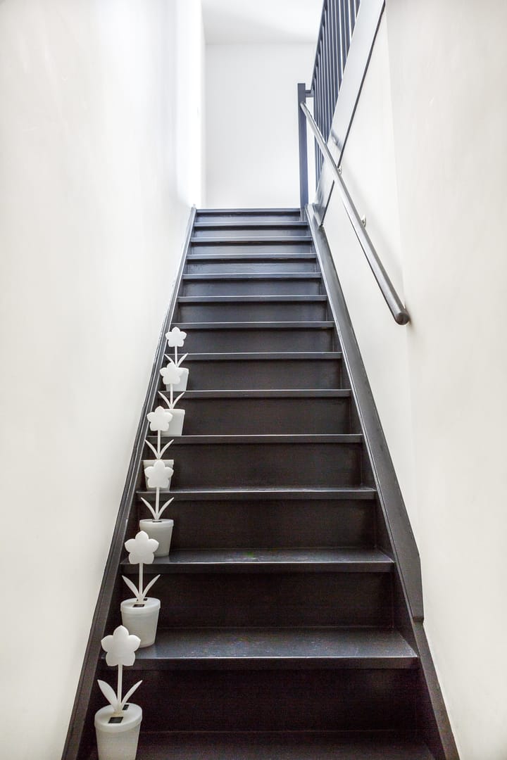 Foto 7 van Driehoek 8-A