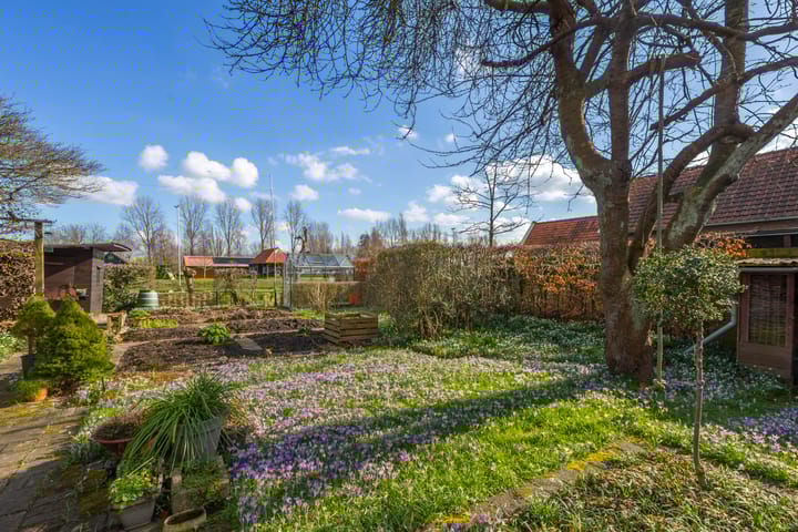 Photo 5 of Nieuweweg 233