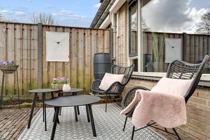 Foto 19 van Maatcamp 9