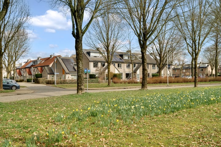 Foto 48 van Maatcamp 9