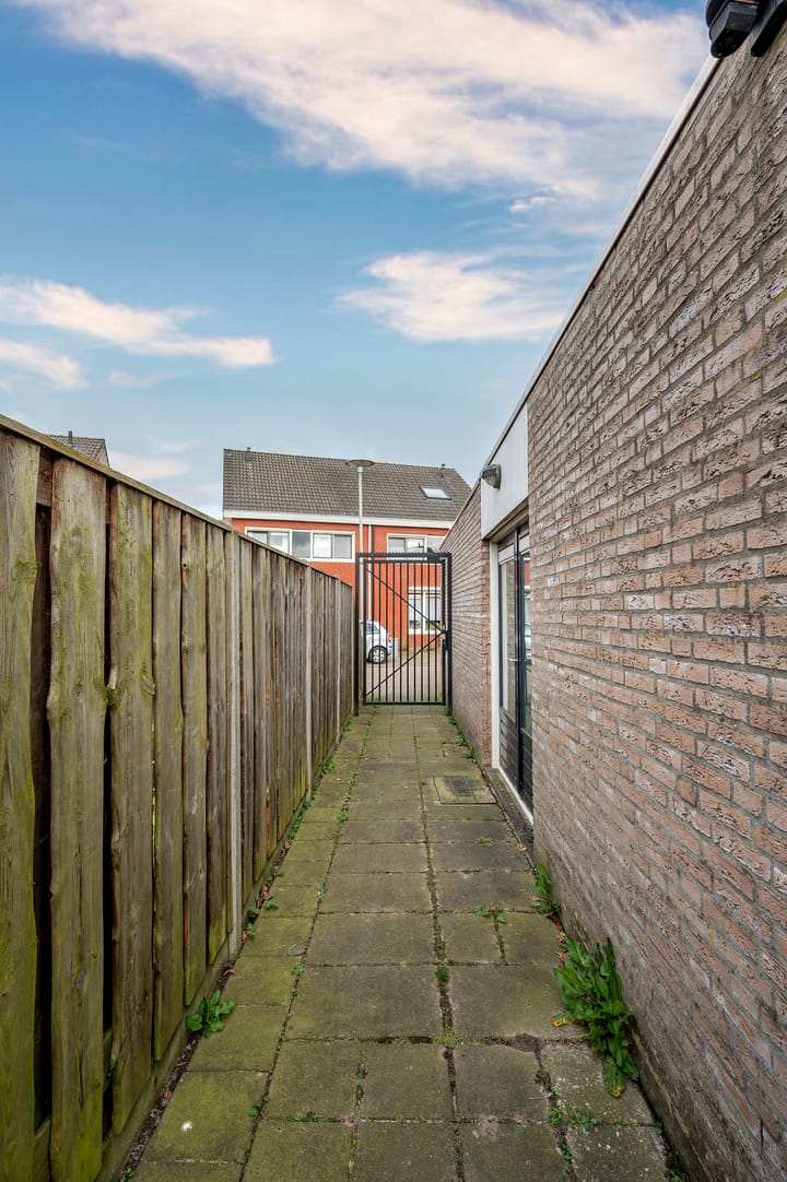 Foto 39 van Wasbloem 4