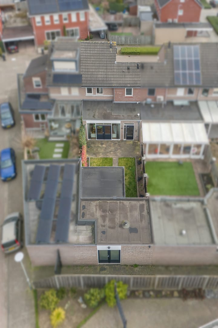 Foto 40 van Wasbloem 4