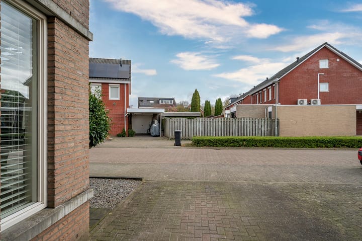 Foto 42 van Wasbloem 4