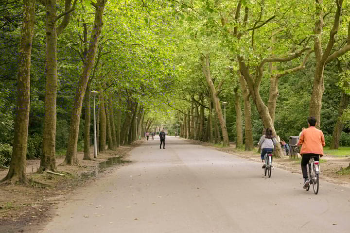 Photo 29 of Sassenheimstraat 54-3