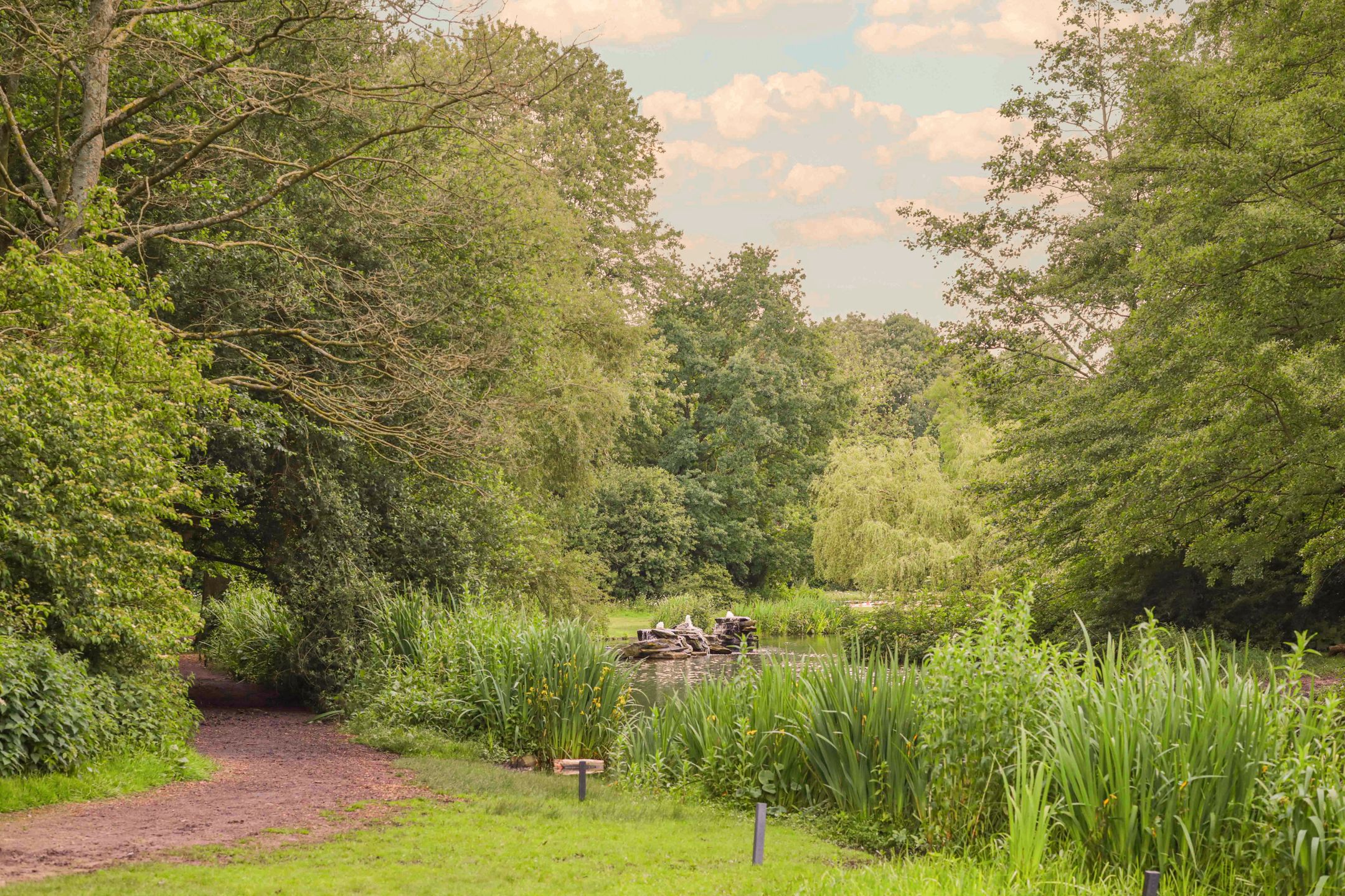 Foto 30 van Sassenheimstraat 54-3