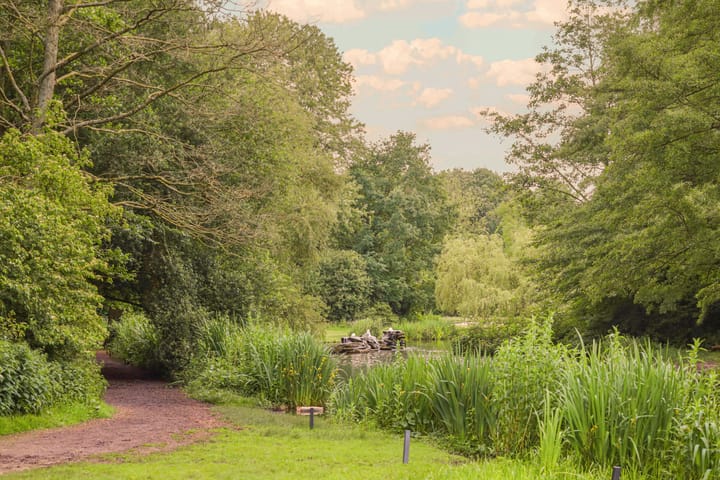 Photo 30 of Sassenheimstraat 54-3