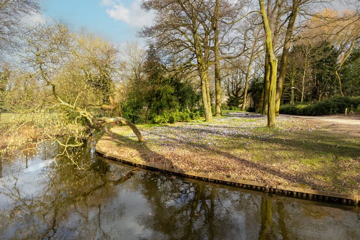 Foto 50 van Byronstraat 46