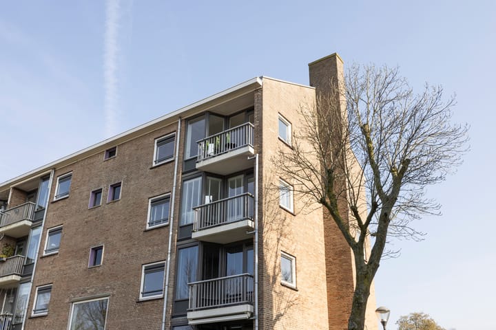 Foto 6 van Delftlaan 433-III