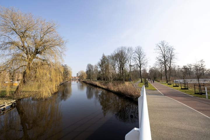 Foto 37 van Delftlaan 433-III