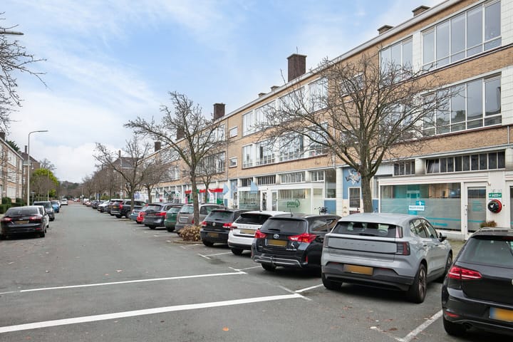 Photo 27 of Breitnerlaan 247