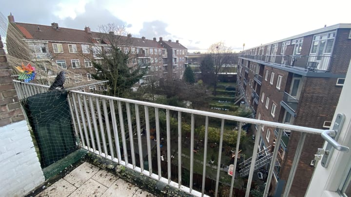 Photo 9 of Pinasplein 5-D