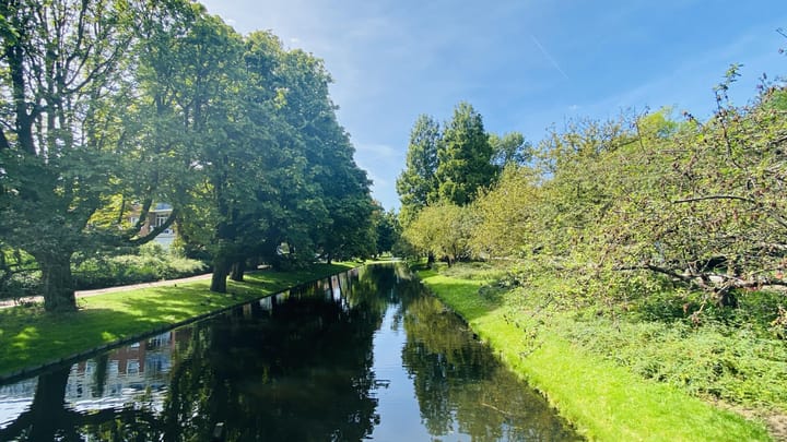 Photo 17 of Pinasplein 5-D