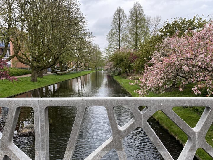 Photo 18 of Pinasplein 5-D