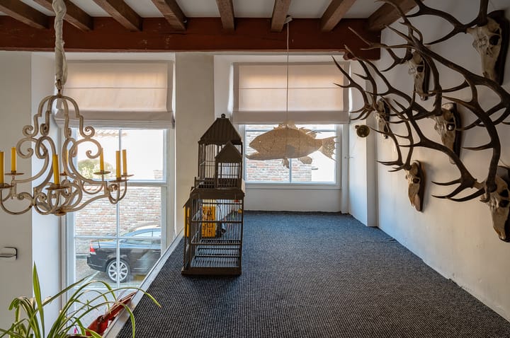 Foto 34 van Kreynckstraat 3