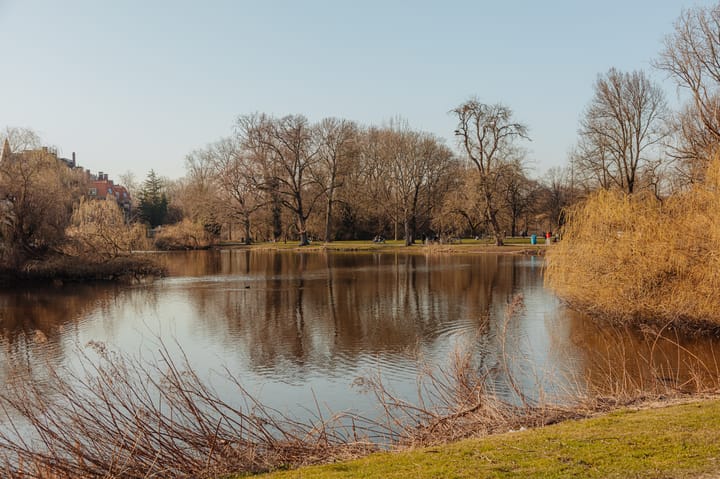 Foto 29 van Koninginneweg 26-1L