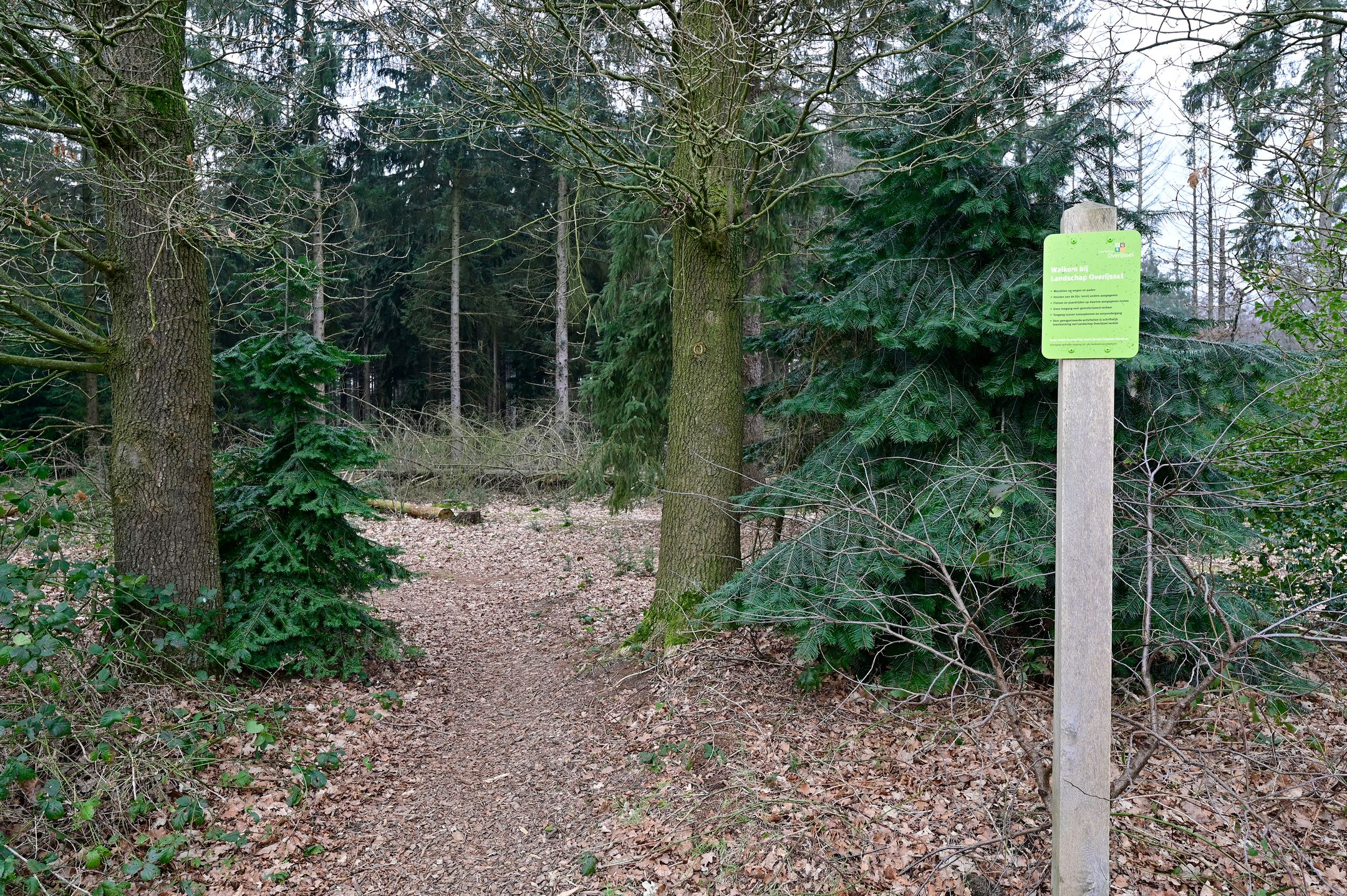 Foto 24 van Bruine Hoopsweg 6-AZ337