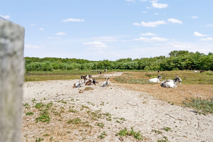 Foto 34 van Rijspolder 110