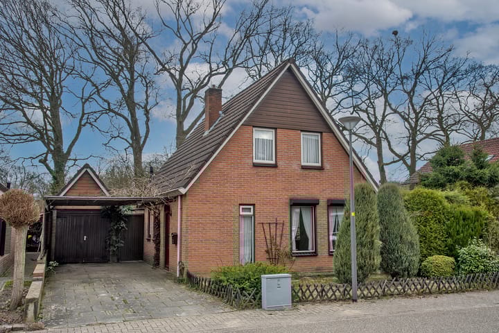 Foto 5 van Blauwgras 74