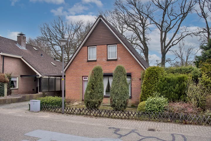 Foto 6 van Blauwgras 74