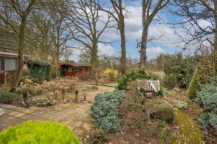 Foto 23 van Blauwgras 74