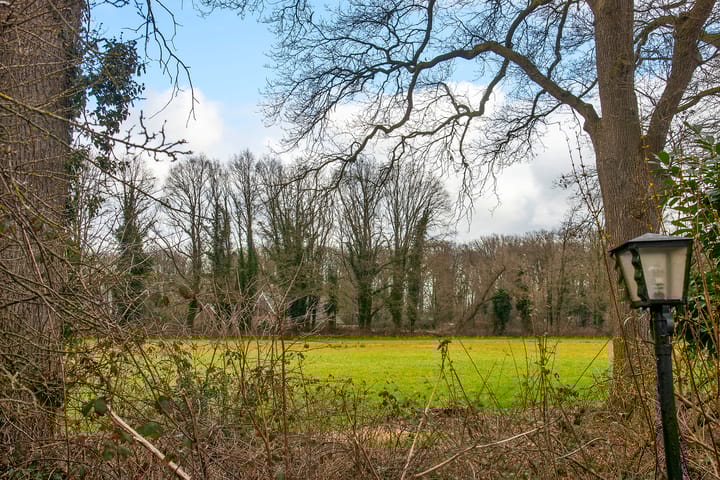 Foto 25 van Blauwgras 74