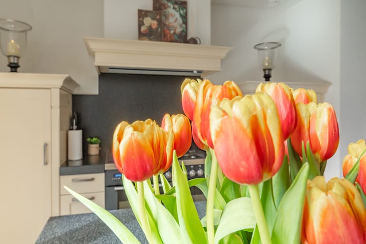 Foto 13 van Hortensiastraat 24