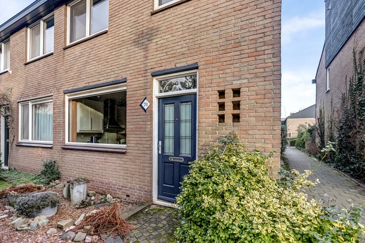 Foto 4 van Looyenland 70