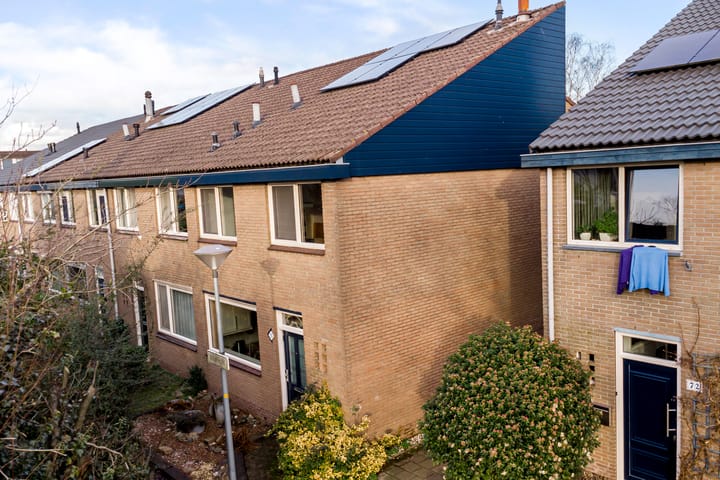 Foto 40 van Looyenland 70